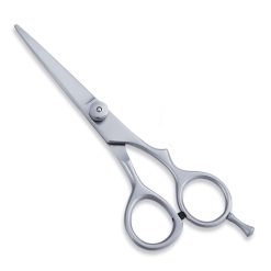 Professional Hairdressing Scissors