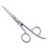 Standard Barber Scissors
