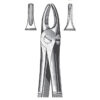 Extracting Forceps, English Pattern