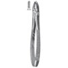 Extracting Forceps, English Pattern