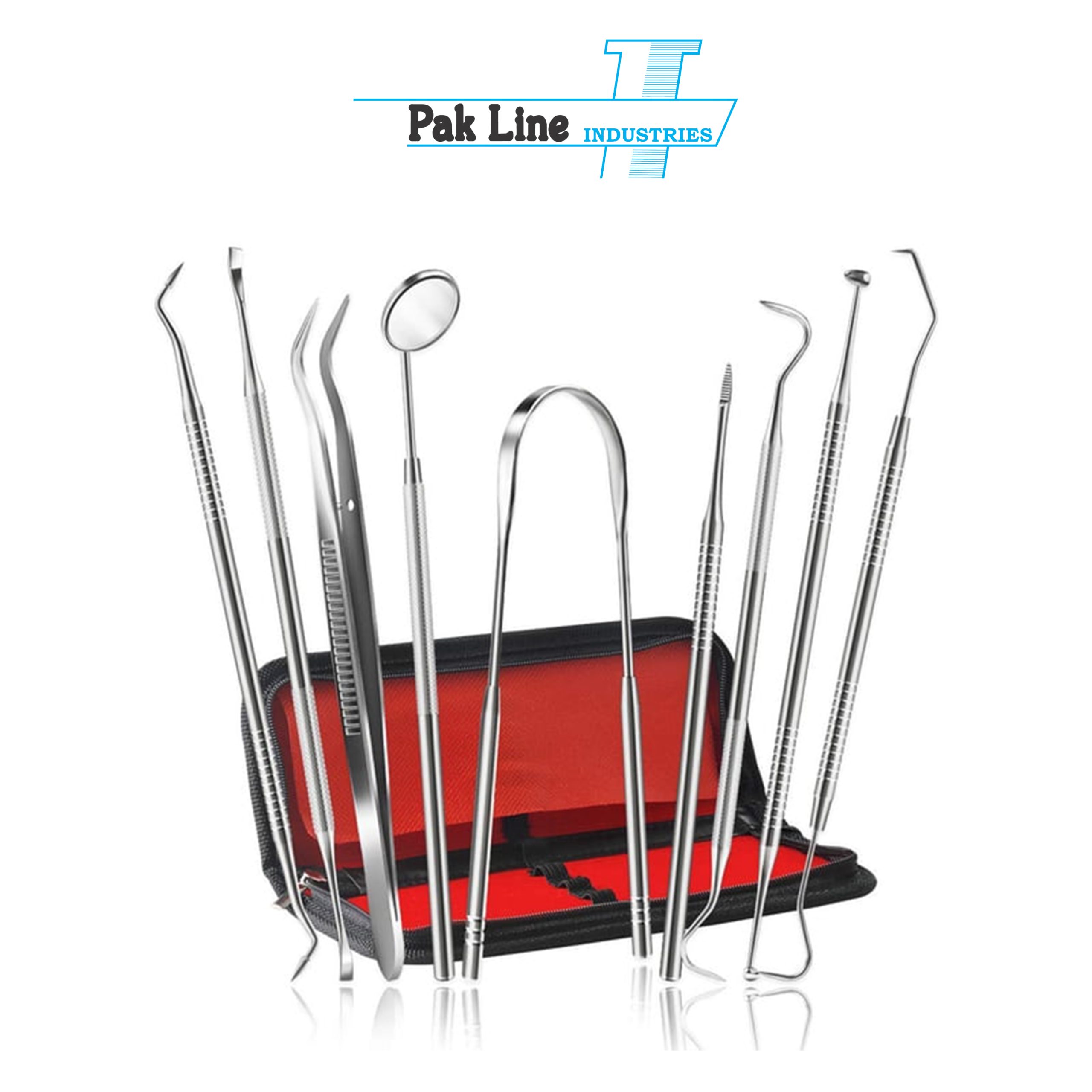 Professional 9-piece stainless steel dental scaler and hygiene kit with dental mirror, explorer, tweezers, plaque remover, and carrying case manufactured by Pak Line Industries